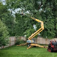 Best Tree Health Inspection  in Ridgeville, SC